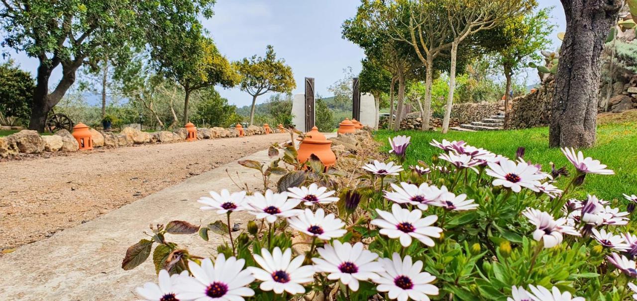 Agroturismo Can Marquet - Adults Only Santa Gertrudis  Extérieur photo