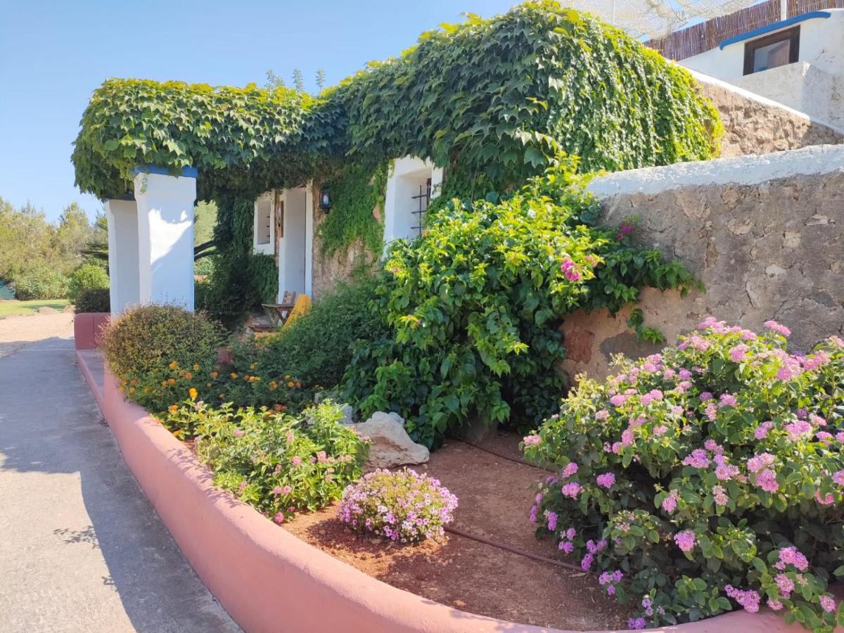 Agroturismo Can Marquet - Adults Only Santa Gertrudis  Extérieur photo